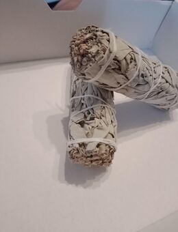 Weißer Salbei Räucher Bündel Smudge white sage 10 cm in bester Qualität - Blumberg
