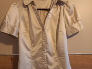 champagner Bluse - Teising