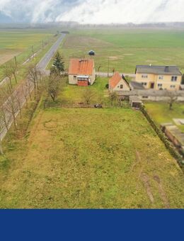 Idyllisches Einfamilienhaus mit großem Grundstück! - Osterburg (Altmark)