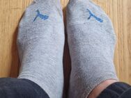 Hetero verkauft Käsesocken größe 43-46 - Köln