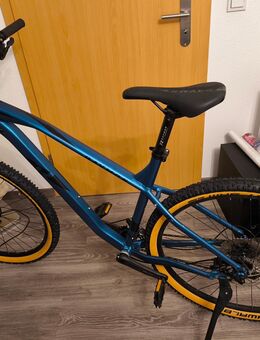 MTB Mountainbike Hardtail Raymon Hardrey seven 4,0 - Aichach