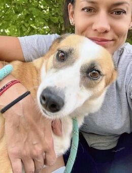 DARCY ist ein sanftes ruhiges Mädchen♥️ - München