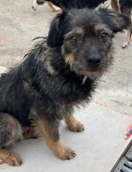 Happy ❤️ sucht -Happy End- - Velbert