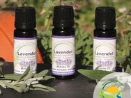 Lavendel Öl - Der Duft der Provence - Hankensbüttel