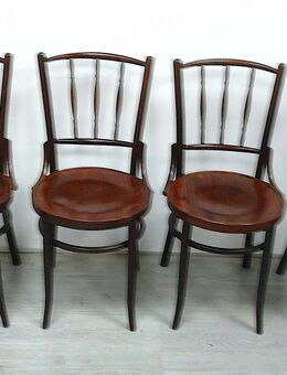 4 Stühle Kohn / Thonet um 1890 Wiener Cafehaus Stühle Nußbaum dunkel - Sinzig