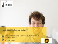 Logistikmitarbeiter (m/w/d) - Westerstede