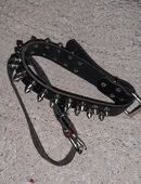 2 Stück Lederhalsbänder Stacheln neu Anzeige LESEN in 24159