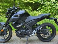 Yamaha MT 125-wie neu-nur 4100km-tüv neu - Lichtenau (Nordrhein-Westfalen)
