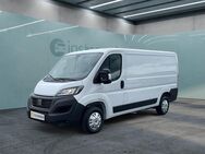 Fiat Ducato, Kasten L2H1|||, Jahr 2024 - München