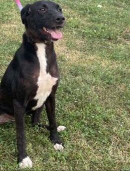 Funny charmant und Lebensfreude pur - Schlitz