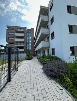 Schöne und moderne 3-Zimmer-Wohnung im 2. Obergeschoss in der Eichendorffstraße 11 in Nürtingen - Nürtingen
