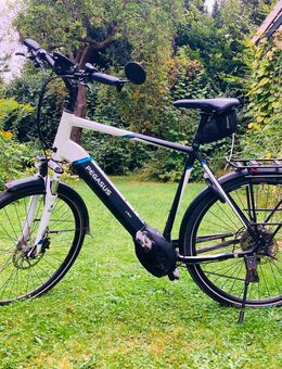 E-Bike Pegasus Premio Evo 10 , 28er Trekkingrad - Kassel