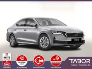 Skoda Octavia, Lim TDI 150 Selec vEHK, Jahr 2024 - Kehl