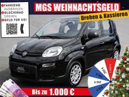 Fiat Panda, Hybrid # # # #, Jahr 2024 - Hof