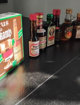 Spirituosen 20 verschiedene kleine Fläschchen - Leopoldshöhe