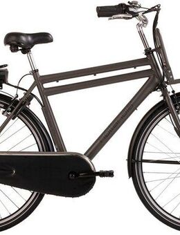 Hollandia E-Bike Cityrad Carry On, 3 Gang Shimano Nexus Schaltwerk, Nabenschaltung, Frontmotor, 468 Wh, Pedelec, Elektrofahrrad für Damen u. Herren