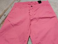 Sommer Chino Shorts - Braunschweig