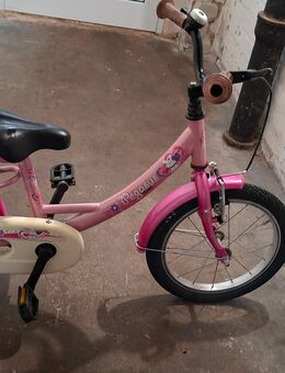 Pegasus Kinderfahrrad abzugeben - Essen