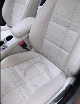 Professionelle polsterreinigung - Daun