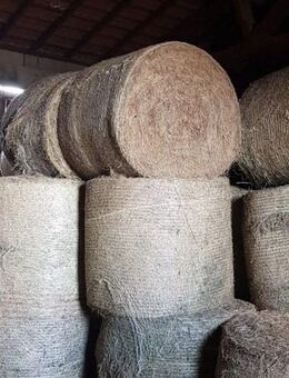 100 Heuballen günstig zu verkaufen, 25 € pro Ballen, auch einzeln - Hammelburg