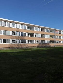 3-Zimmer-Wohnung sucht Nachmieter // 2.OG links - Wolfsburg