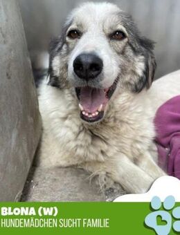 Blona- will endlich hier raus - Nürnberg