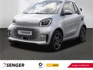 smart EQ fortwo cabrio, Prime Exclusive, Jahr 2021 - Beckum
