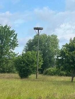 Ehemaliger Bauernhof - Finsterwalde