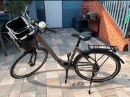 Fahrrad Kalkhoff Image HS R Wave grau - Dessau-Roßlau Kleinkühnau