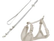 Trixie Junior Welpen-Softgeschirr mit Leine - 26-34 cm, 10 mm breit, 200 cm, hellgrau