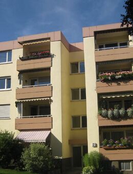 Hochwertige 3 Zimmer MWG nahe der Karlsaue - Kassel
