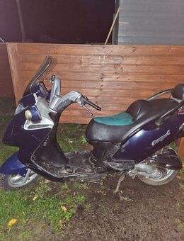 Kymco Gran Dink 50 - Extertal