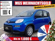 Fiat Panda, # # # # #, Jahr 2024 - Weiden (Oberpfalz)