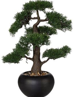 Kunstpflanze Bonsai, Creativ green, Höhe 48 cm