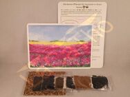 Set Farbenreiches Bienenparadies Blumen Insekten Hummel Bienen Blühfarben seed rot lila blau rosa gelb weiß bunt insektenfreundliches Saatgut flower seeds garden Geschenk Blumenwiese - Pfedelbach