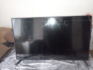 Fernseher DION 43 ZOLL - Hildesheim