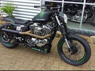 Harley Davidson - Unikat - Westerstede