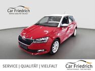 Skoda Fabia 1.0 TSI Style KLIMA/GRA/SHZ/SMARTLINK - Steinfurt