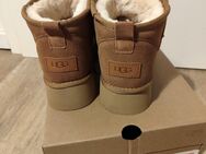 Mini Plateau Ugg Boots Platform - Hamburg