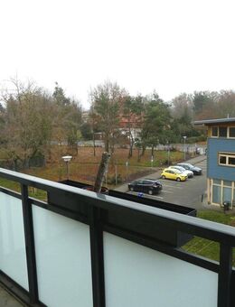 Sonnige 2-Raum-Whg mit Balkon + EBK in Bad Düben! - Bad Düben