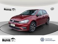 VW Golf, 2.0 TDI VII IQ DRIVE, Jahr 2019 - Dinklage