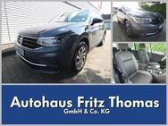 VW Tiguan, 2.0 TDI Active, Jahr 2022 - Celle