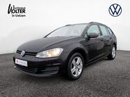 VW Golf Variant, 1.6 TDI Golf VII Comfortline, Jahr 2016 - Uelzen