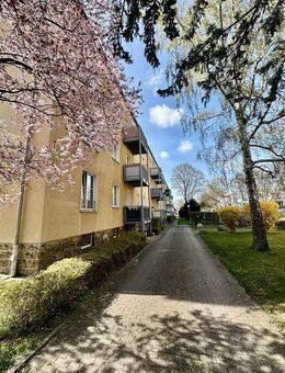 Frei zum März 2026! Charmante 3-Zimmer-Hochparterrewohnung in familienfreundlicher Lage - Dresden