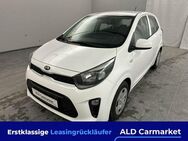 Kia Picanto 1.0 ISG Edition 7 Limousine, 5-türig, 5-Gang - Bad Fallingbostel