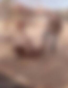 Flu*** - Niederfinow