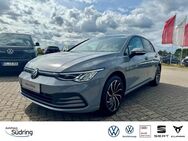 VW Golf, 2.0 TDI VIII Life, Jahr 2020 - Nienburg (Weser)