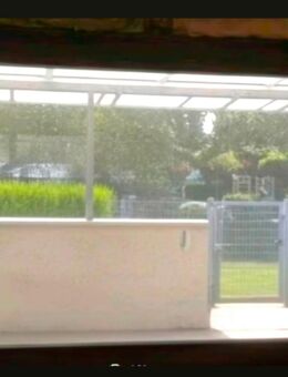 Holzfenster Fenster zu Verschenken 3m breit - Lustadt