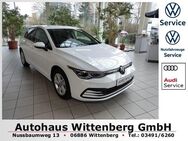 VW Golf, 1.5 TSI VIII Life H&K, Jahr 2024 - Wittenberg (Lutherstadt) Wittenberg