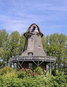 außergewöhnliche Mühle, Reetdach Ferienhaus, 8 Km vor St. Peter Ording - Garding Zentrum